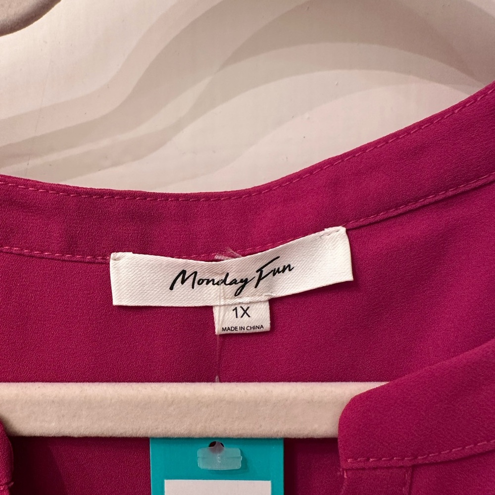 NWT Monday Fun Ruby Short Sleeve Pleated Blouse - Picture 4 of 4